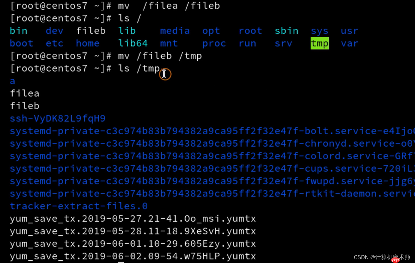 【操作系统 | Linux】 文件管理五件套（查看，切换，创建删除，复制移动）