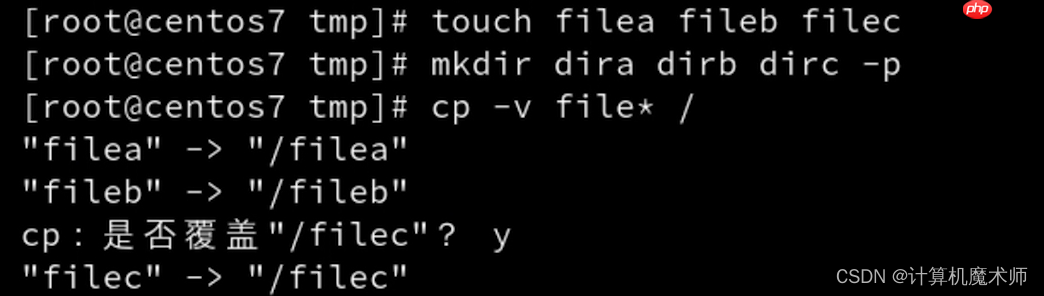 【操作系统 | Linux】 文件管理五件套(查看,切换,创建删除,复制移动)