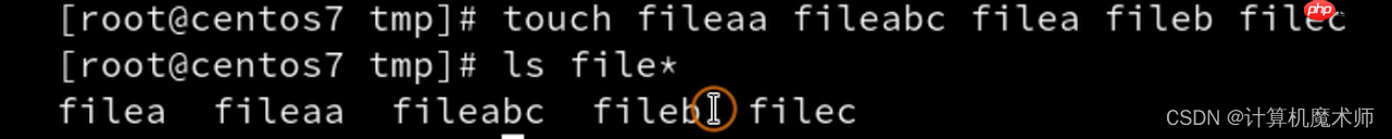 【操作系统 | Linux】 文件管理五件套(查看,切换,创建删除,复制移动)