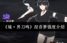 境界刀鸣涅音梦全解析：双形态辅助核心与爆发增益大师