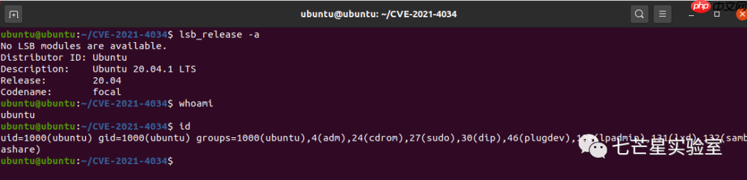 CVE-2022-0847:DirtyPipe本地提权