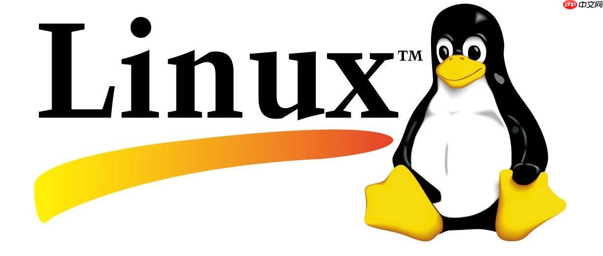 软件测试|如何在Linux中下载和安装软件包