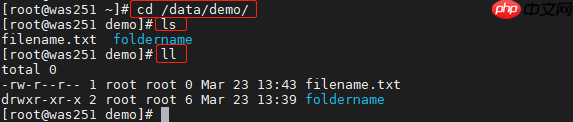一篇文章快速掌握Linux基本命令