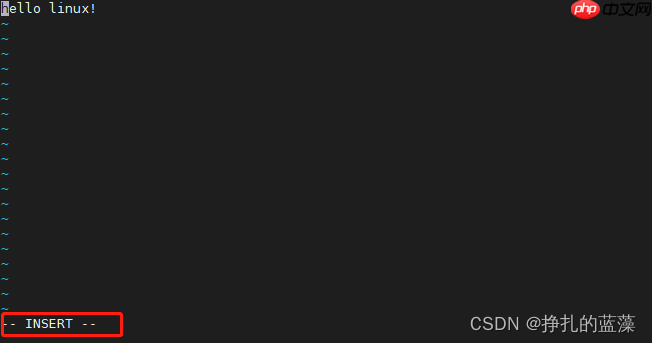 一篇文章快速掌握Linux基本命令