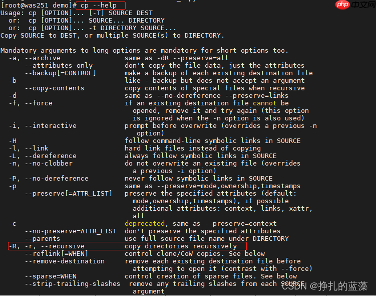 一篇文章快速掌握Linux基本命令