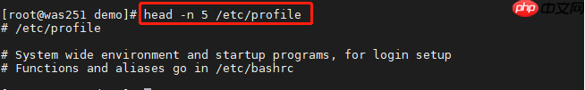 一篇文章快速掌握Linux基本命令