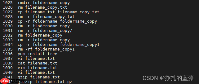 一篇文章快速掌握Linux基本命令
