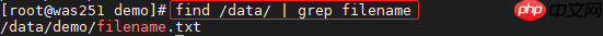 一篇文章快速掌握Linux基本命令