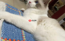 【在Linux世界中追寻伟大的One Piece】数据链路层