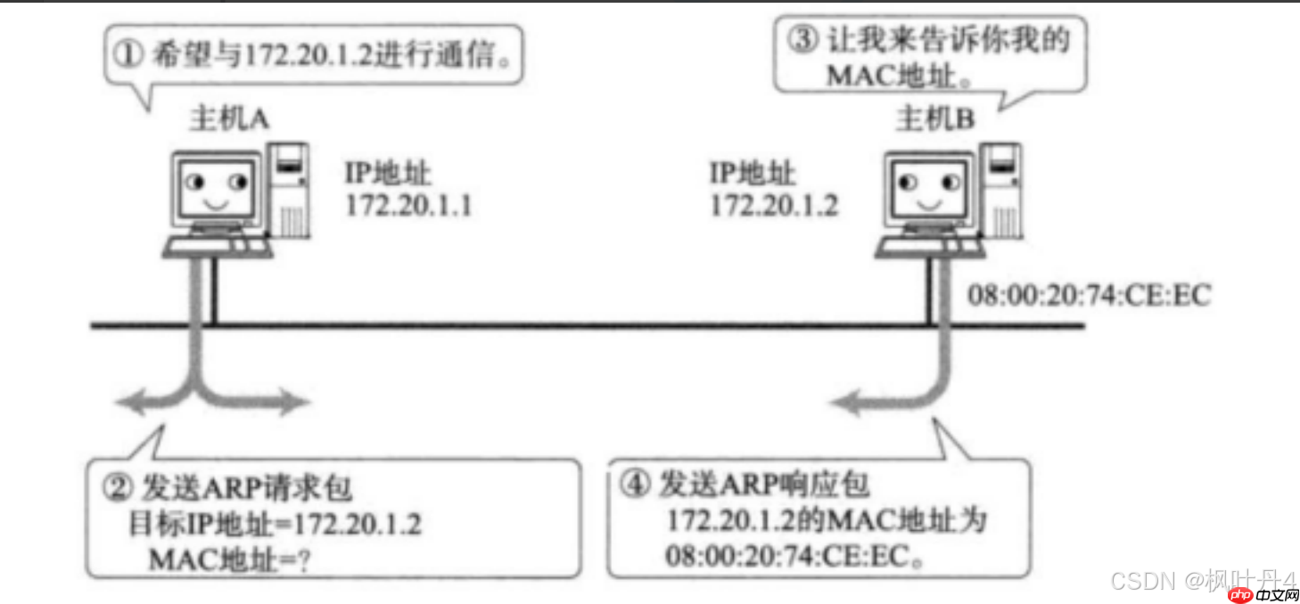 【在Linux世界中追寻伟大的One Piece】数据链路层