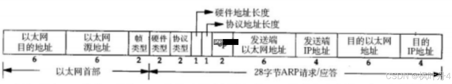 【在Linux世界中追寻伟大的One Piece】数据链路层