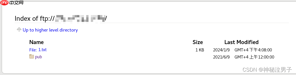 Linux 配置FTP服务器 + vsftpd服务安装配置 （Good篇）