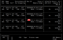 Nvidia 显卡 Failed to initialize NVML Driver/library version mismatch 错误解决方案