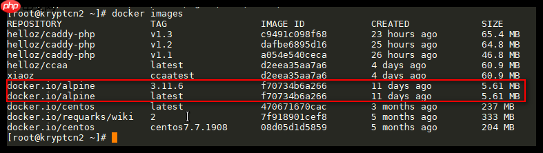 Alpine Linux使用入门