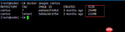 客快物流大数据项目(十三):Docker镜像