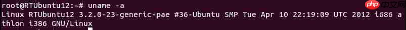如何查看Linux版本信息？