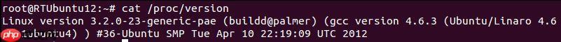 如何查看Linux版本信息？