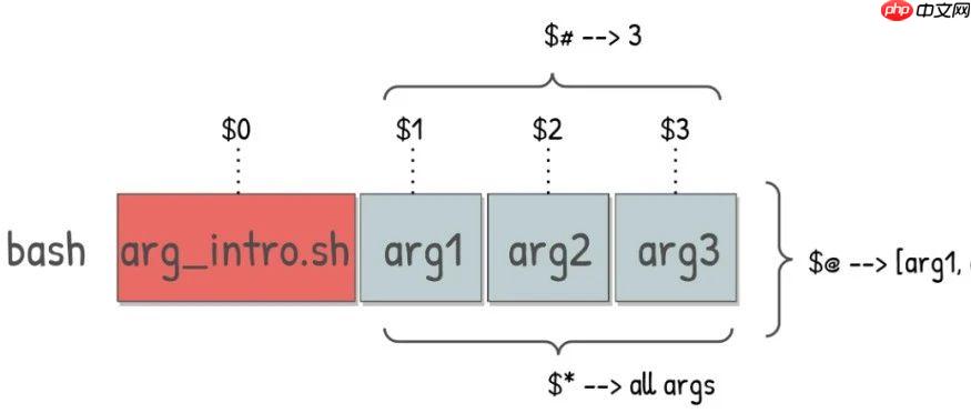 linux: 如何高效处理Shell脚本中的大量参数