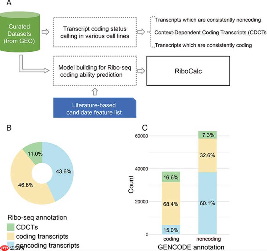 【Briefings in Bioinformatics】四篇好文简读-专题18