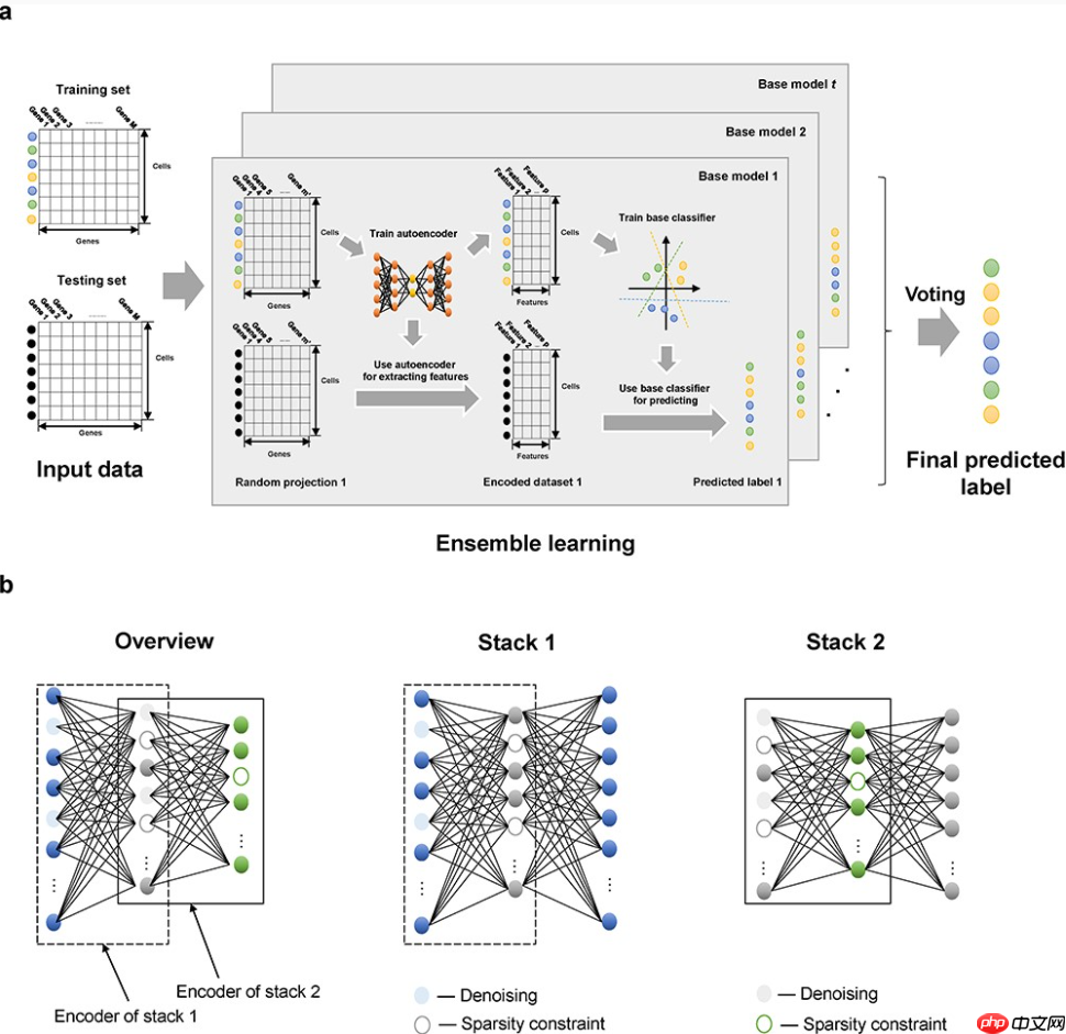【Briefings in Bioinformatics】四篇好文简读-专题18