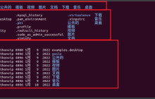 【Linux终端探险】：从入门到熟练，玩转基础命令的秘密（一）
