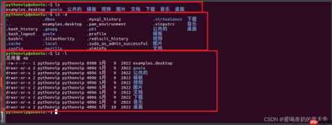 【Linux终端探险】：从入门到熟练，玩转基础命令的秘密（一）