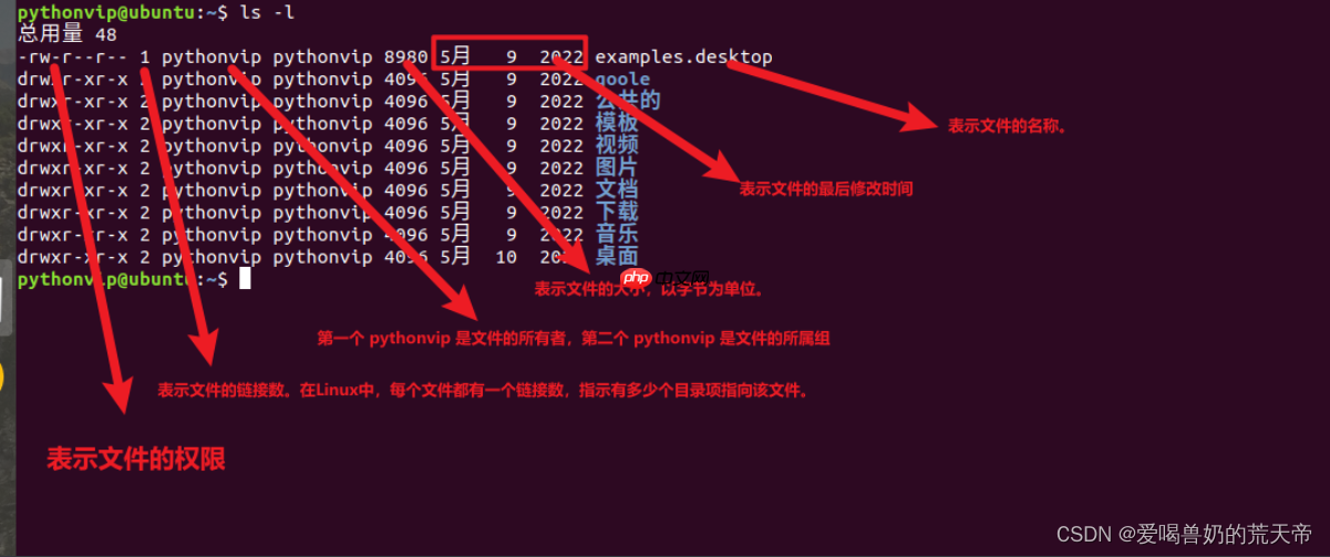 【Linux终端探险】：从入门到熟练，玩转基础命令的秘密（一）