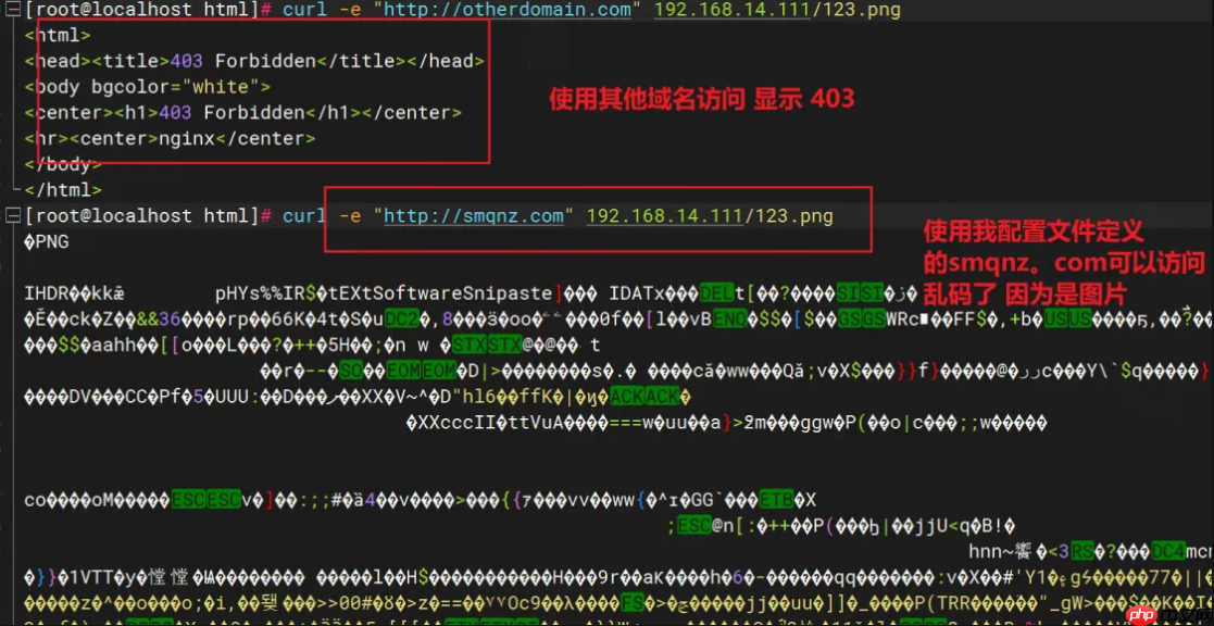 如何通过 Nginx 配置防盗链保护静态资源(详细配置)