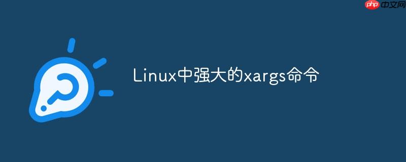 linux中强大的xargs命令