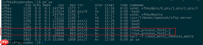 Linux C/C++多进程同时写一个文件（一）