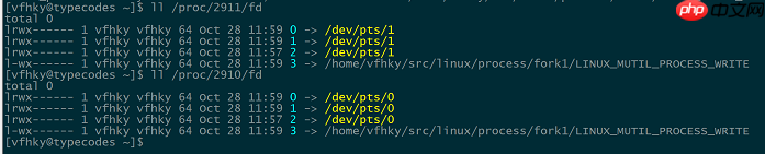 Linux C/C++多进程同时写一个文件（一）