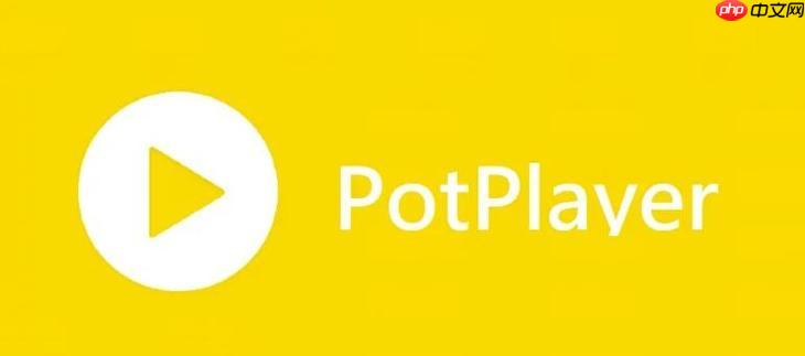 PotPlayer播放器怎么修复音画不同步 PotPlayer延迟调整方案