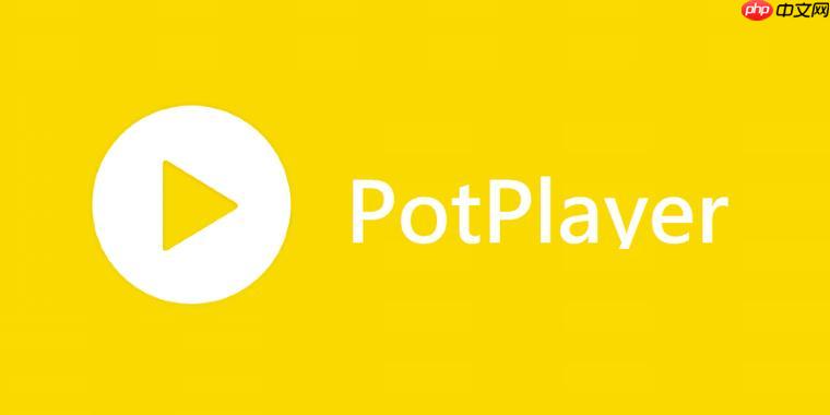 PotPlayer播放器怎么设置AB循环 PotPlayer片段重复播放方法