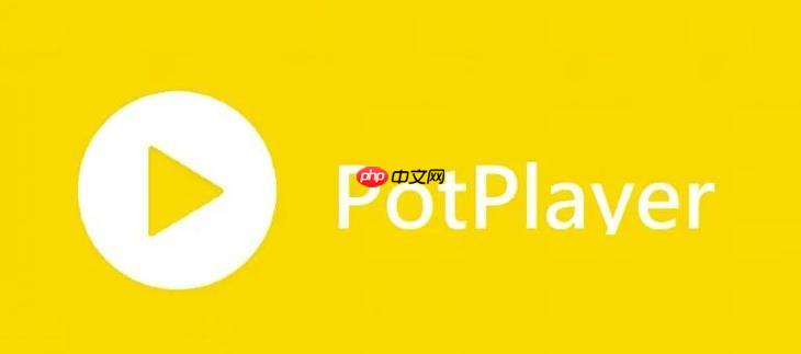 PotPlayer播放器如何启用10bit输出 PotPlayer高色深显示设置