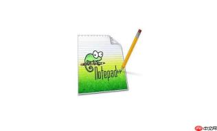 Notepad++卸载插件后残留文件的清理方法