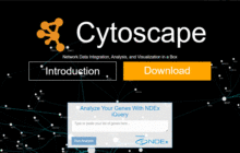 Cytoscape 安装教程 | Network Data Integration, Analysis, and Visualization in a Box