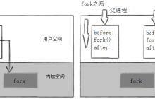 Linux系统 —— 进程控制系列 - 进程的创建与终止 ：fork与exit