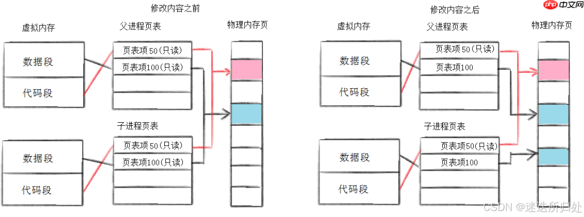 Linux系统 —— 进程控制系列 - 进程的创建与终止 ：fork与exit