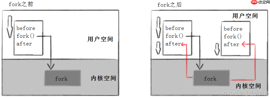 Linux系统 —— 进程控制系列 - 进程的创建与终止 ：fork与exit