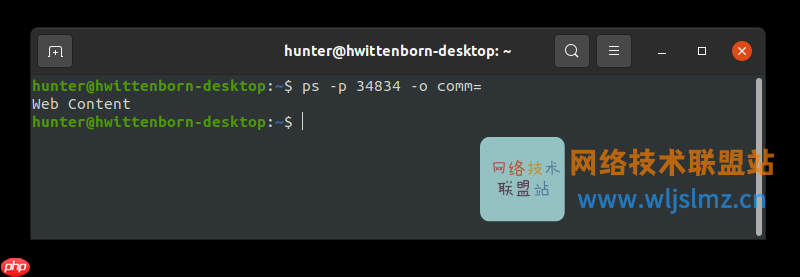 Linux运维必知：如何从其 PID 中查找进程名称