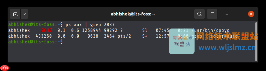 Linux运维必知：如何从其 PID 中查找进程名称