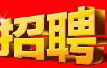 Datacenter Server Solution Architect