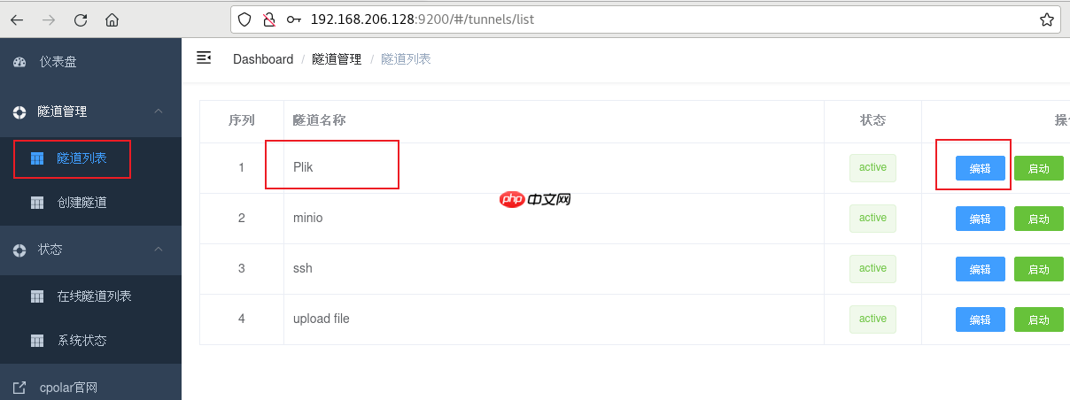 如何在Linux通过docker搭建Plik文件系统并实现无公网IP管理内网文件