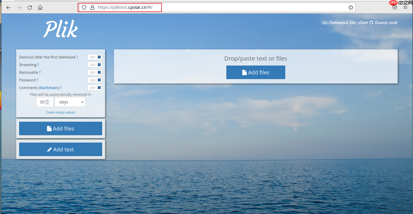 如何在Linux通过docker搭建Plik文件系统并实现无公网IP管理内网文件