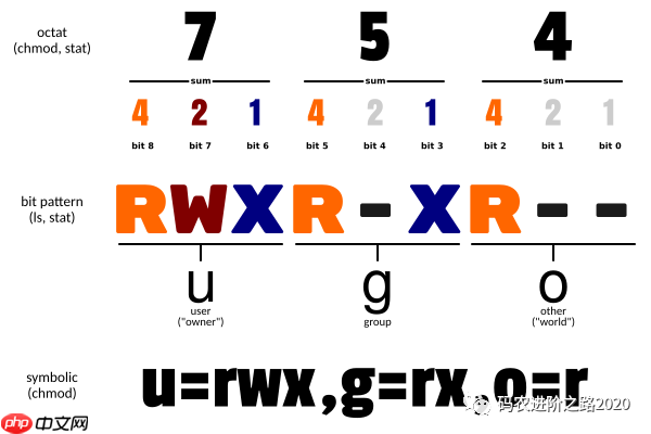 学点程序员必须掌握的Linux知识