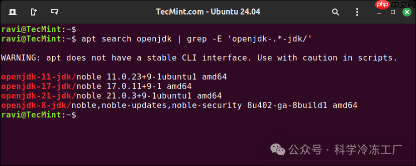 Linux｜如何安装 Java