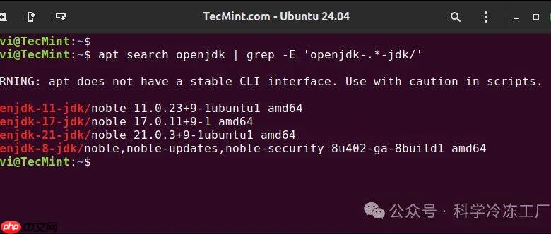 Linux｜如何安装 Java