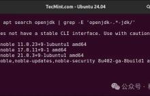 Linux｜如何安装 Java