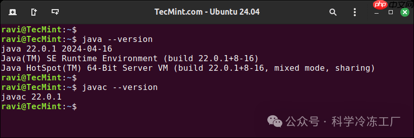 Linux｜如何安装 Java
